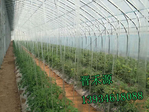 蔬菜大棚建设智能科技上的转变